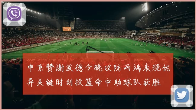 申京赞谢泼德今晚攻防两端表现优异关键时刻投篮命中助球队获胜